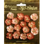 Penny Lane - Forget Me Nots - Antique Peach